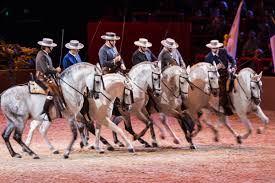 Jerez dancing horses