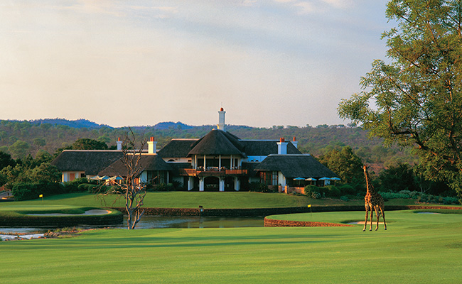 Leopard Creek with Giraffe